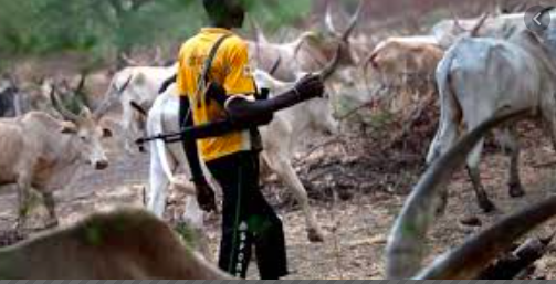 Herdsmen attack Kajuru-Kaduna causes residents to flee their homes