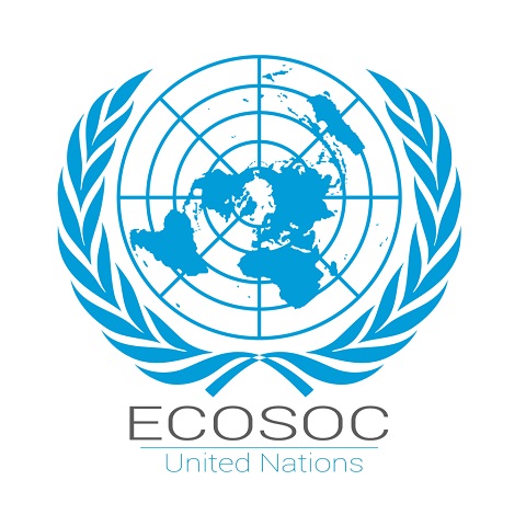 Nigeria elected into the Economic and Social Council UN membership