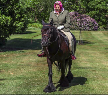 Queen Elizabeth on her pony