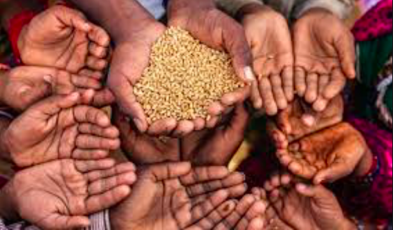 Global report on food crises